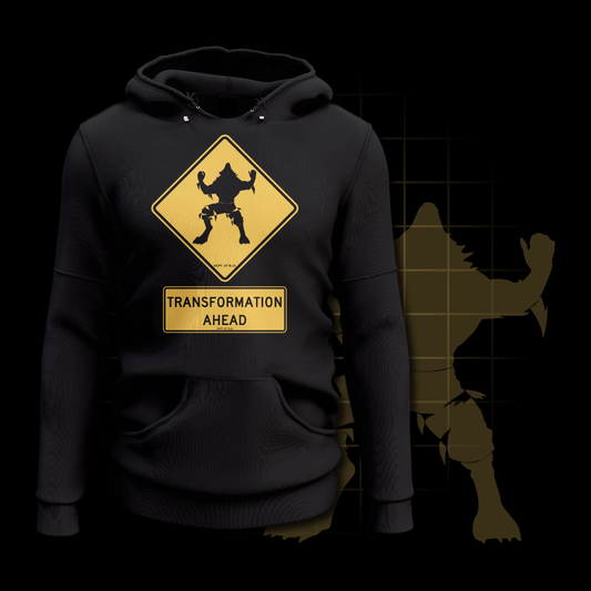 Transformation Ahead ⫸ Pull-Over Hoodie